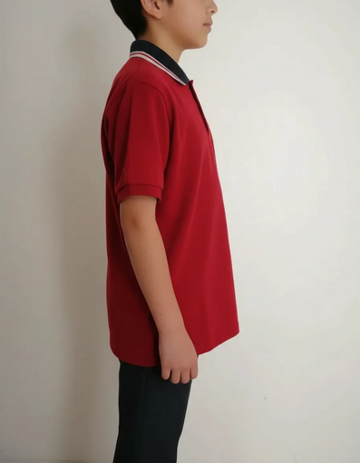 Polera Pique Colegio Aconcagua - Imagen 4