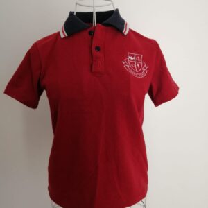 Polera Pique Colegio Aconcagua